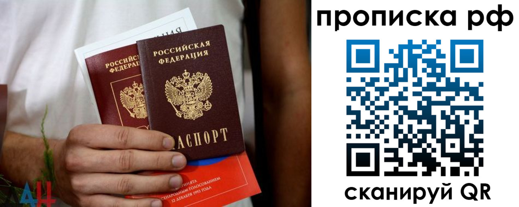 регистрация в Ельне